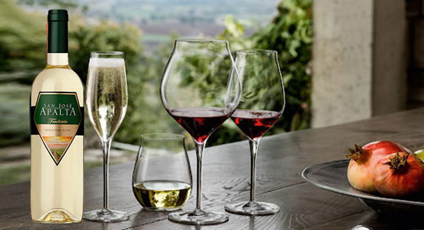 vang-chile-apalta-tradition-white-1