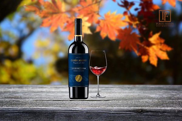 ruou-vang-chile-canto-andino-gran-reserva-1
