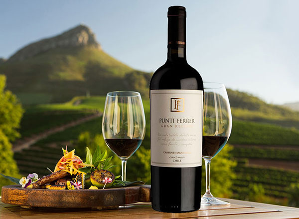 ruou-vang-chile-punti-ferrer-gran-reserva-red-2