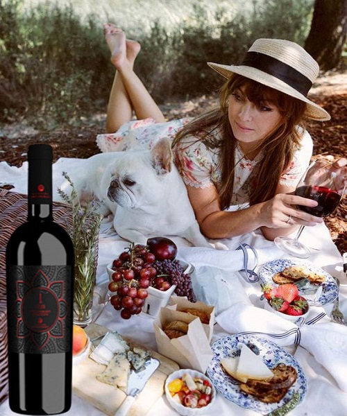 Rượu vang Ý Iris Negroamaro Primitivo