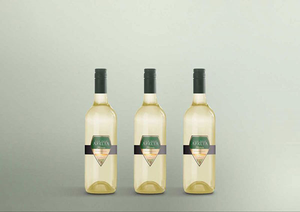 vang-chile-apalta-tradition-white-2