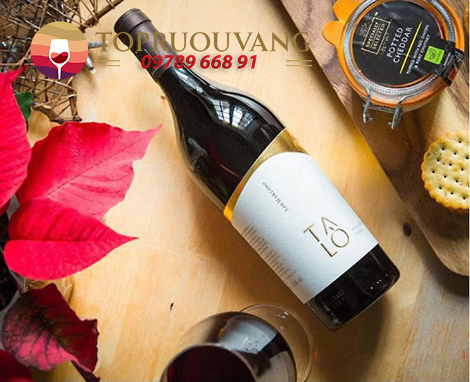 ruou-vang-talo-negroamaro-2