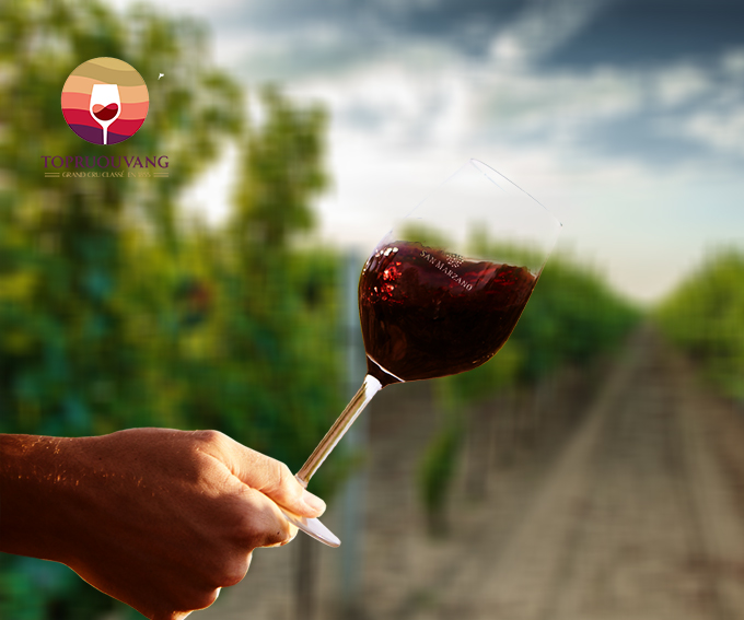 ruou-vang-y-m-malvasia-nera-4
