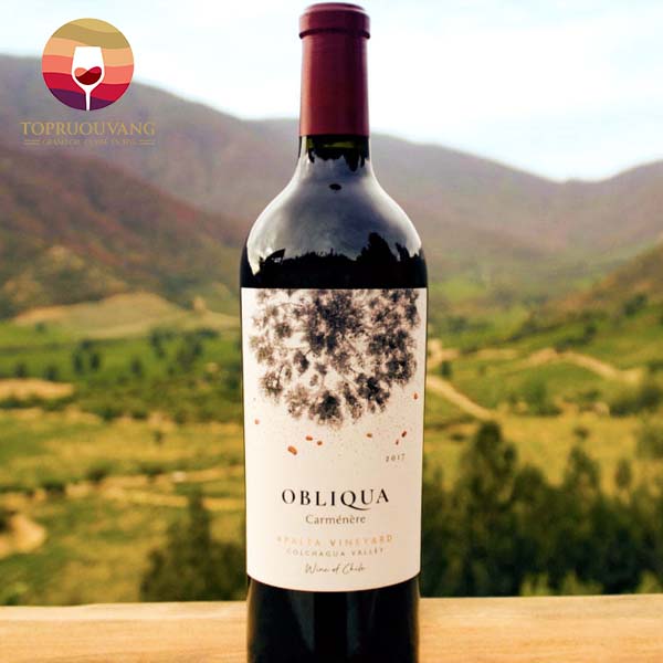 ruou-vang-Ventisquero-Obliqua-Carmenere-2