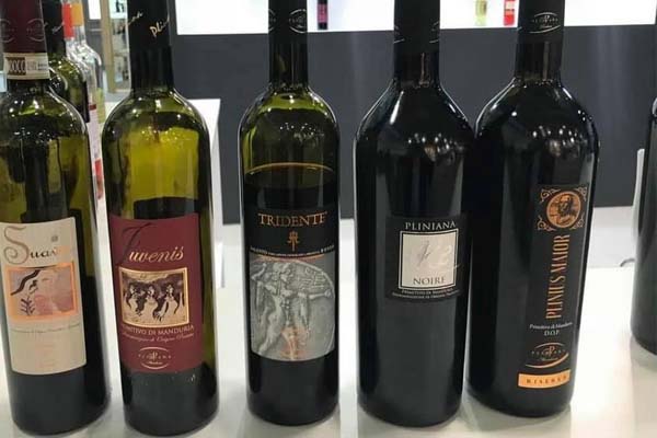 Rượu vang ý Juvenis primitivo di manduria 1