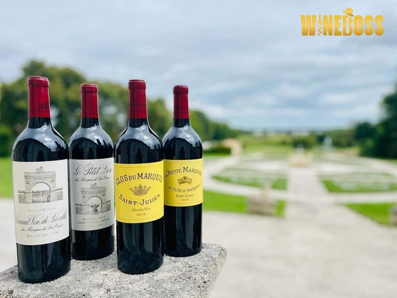 Rượu vang Pháp Clos Du Marquis  2