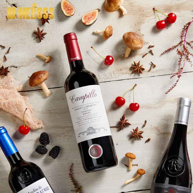 Rượu vang Campillo Reserva Coleccion 2